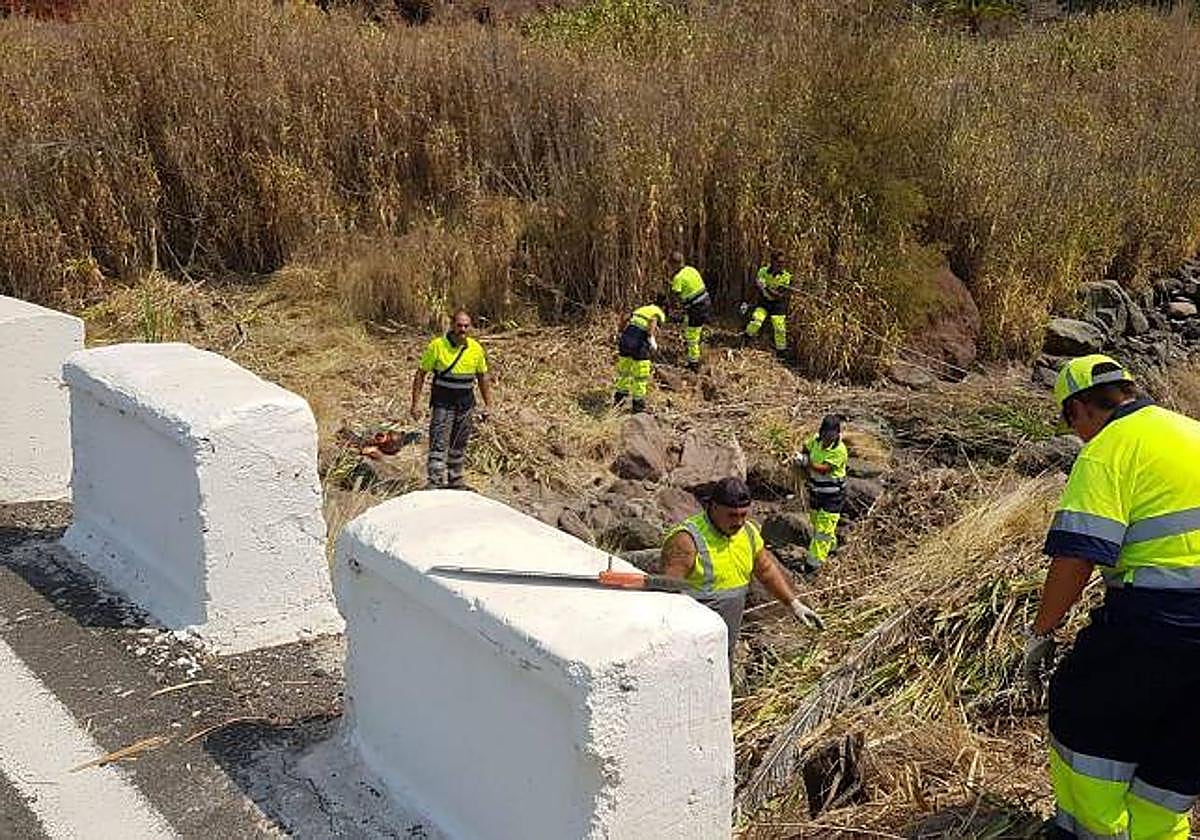 Imagen de archivo de trabajadores en un plan de empleo.