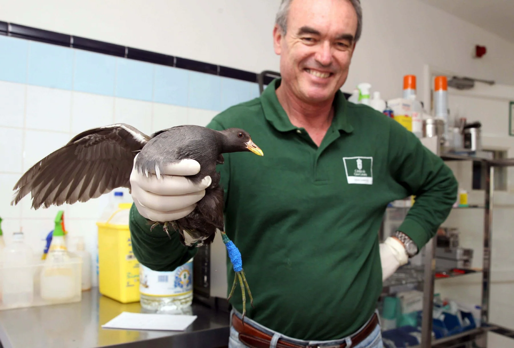 El veterinario Pascual Calabuig, director del Centro de Recuperación de Fauna Silvestre (CRFS) de Tafira.