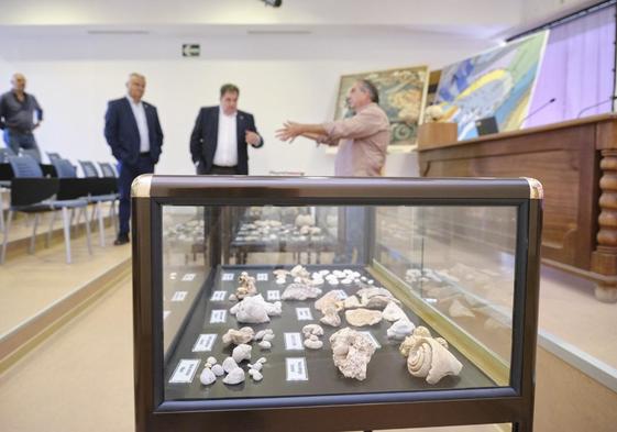 La evolución del cambio climático entra en el Museo Arqueológico