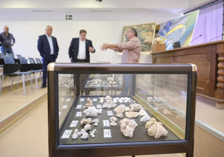 Fósiles de la exposición, con Luis Lorenzo Matas, director del museo insular situado en Betancuria; el director general José Domingo Fernández; y el consejero Juan Nicolás Cabrera.