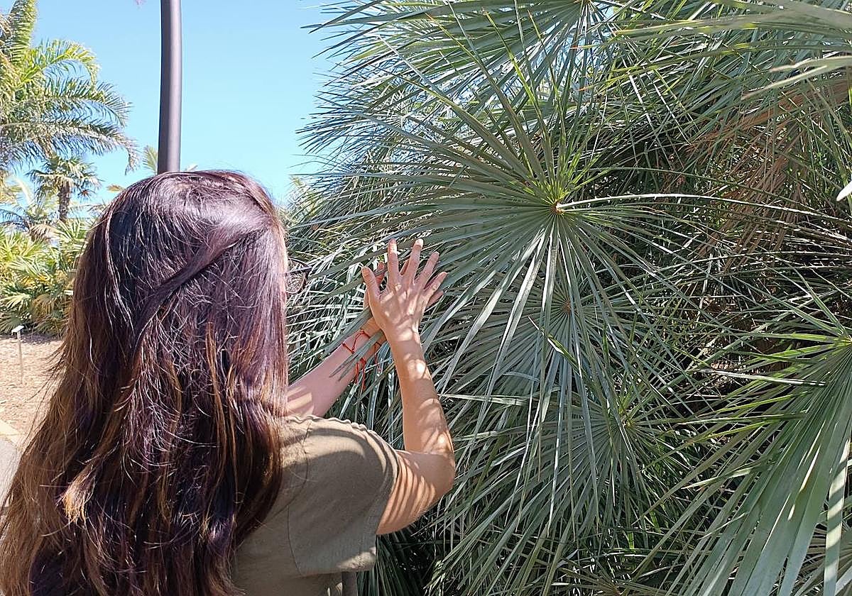 Fundación Cepsa colabora en el primer ciclo de visitas inclusivas al Palmetum de Santa Cruz
