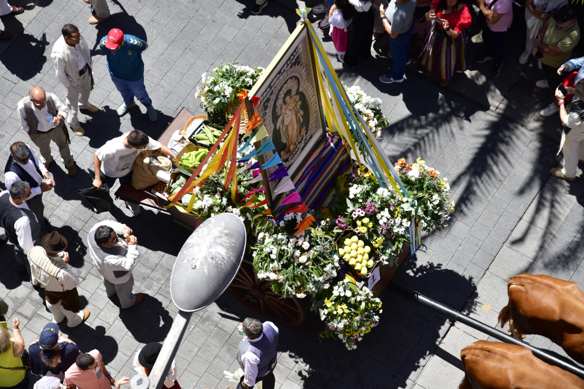 El Paseo Romero, en imágenes