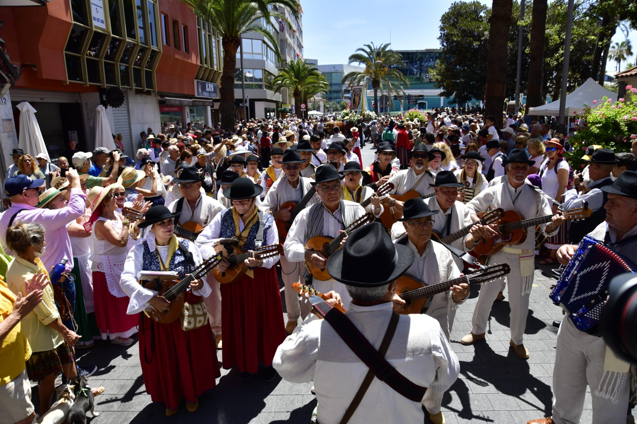 El Paseo Romero, en imágenes