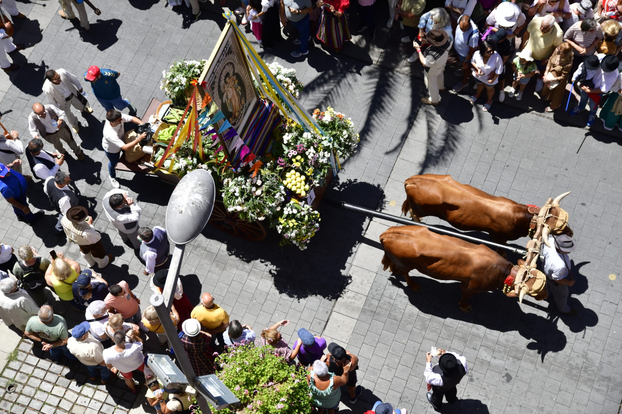 El Paseo Romero, en imágenes