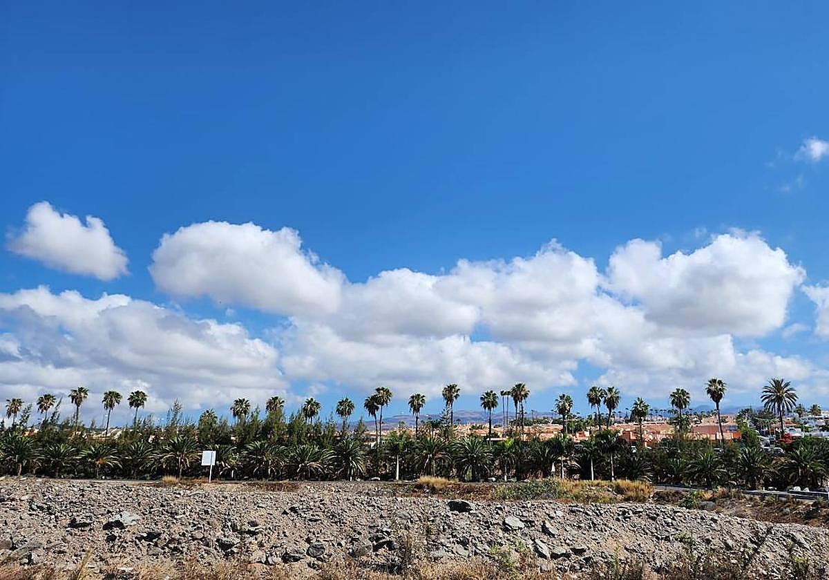 El buen tiempo es el protagonista en el último día de mayo en Gran Canaria.