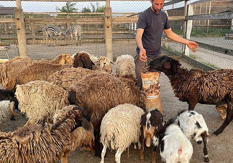 Imagen principal - Loro Parque envía 20.000 euros en alimentos para los animales de Ucrania