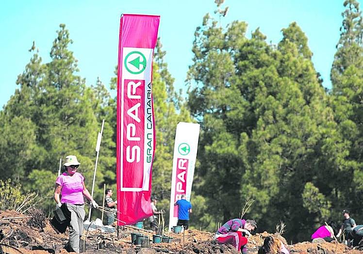 La «Familia SPAR» ha plantado 6.300 nuevos árboles junto a la Fundación Foresta.