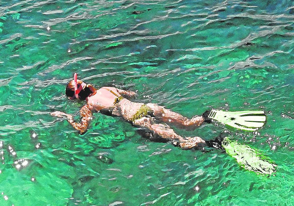 Descargue el Especial Día Mundial del Medio Ambiente en formato pdf