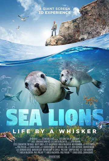 El Museo Elder muestra el mundo de los leones marinos en una película 3D