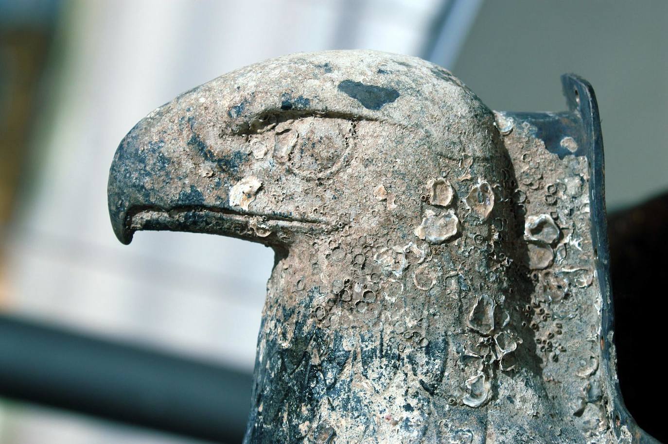 Fotografía que muestra la imponente águila de bronce del acorazado alemán Graf Spee, expuesta en Montevideo (Uruguay). Uruguay convertirá el águila de bronce del buque Graf Spee -uno de los acorazados más temibles de la Armada nazi- en una paloma que representará un «símbolo de paz y de unión».