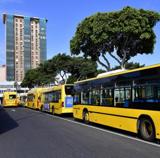 Los viajes gratis cuestan a Guaguas más de 26 millones de euros