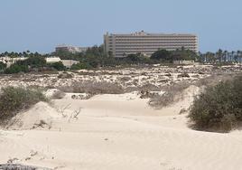 Octubre: fecha de inicio de la obra del Oliva Beach