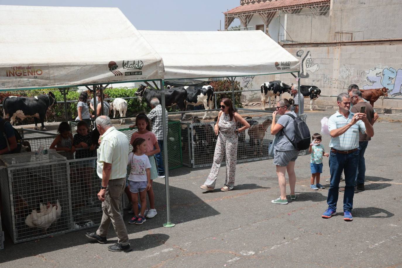 Dos santos y una misma fiesta en Ingenio