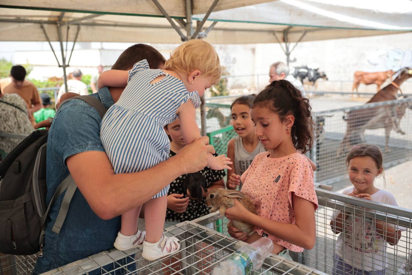 Dos santos y una misma fiesta en Ingenio