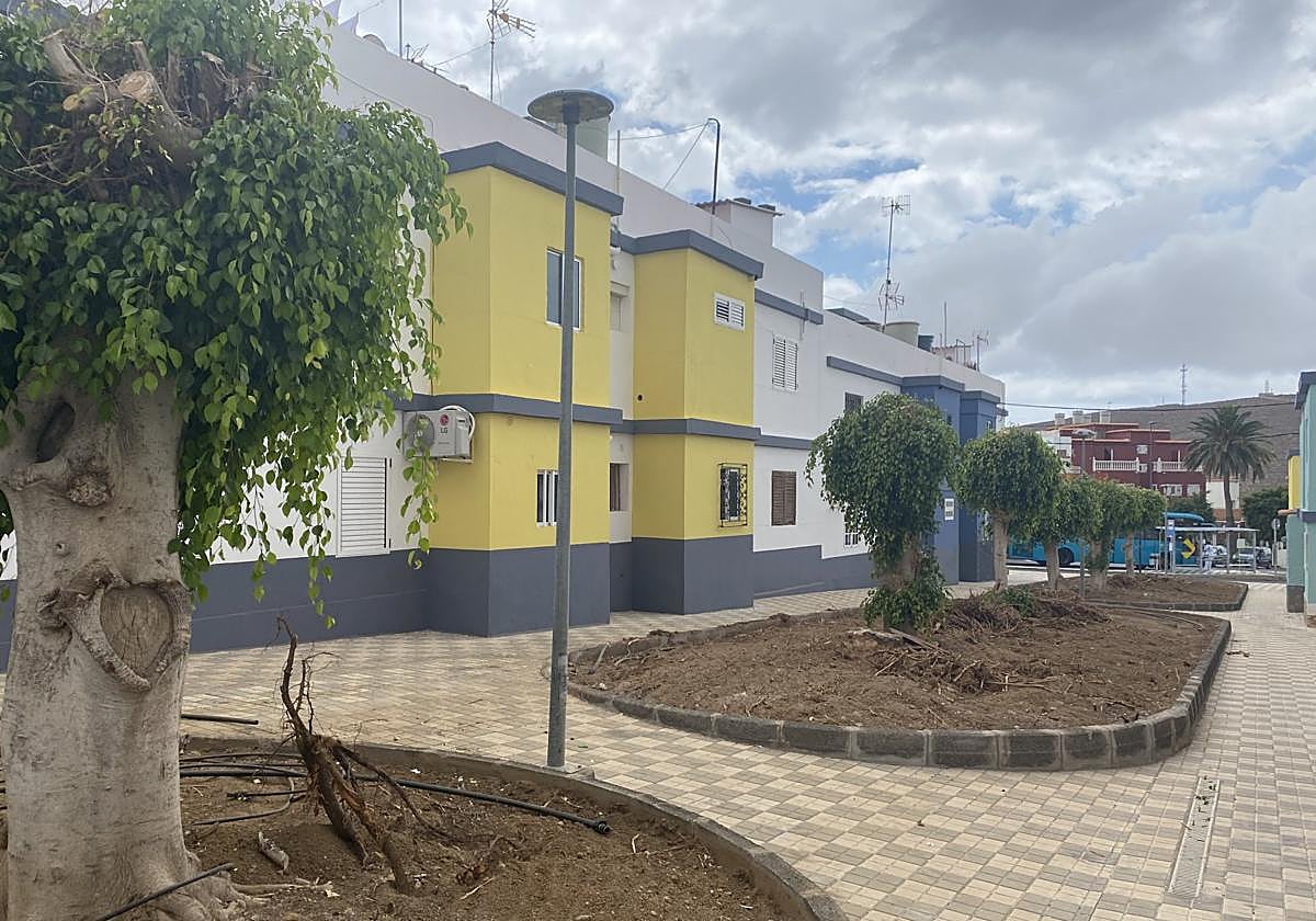 Parterre de las casas de San Fernando de donde quitaron los dragos.