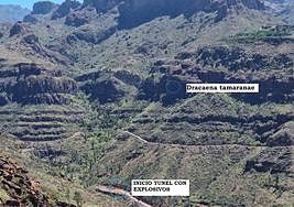 Ubicación del ejemplar hallado en Las Filipinas y del inicio del túnel de la central.