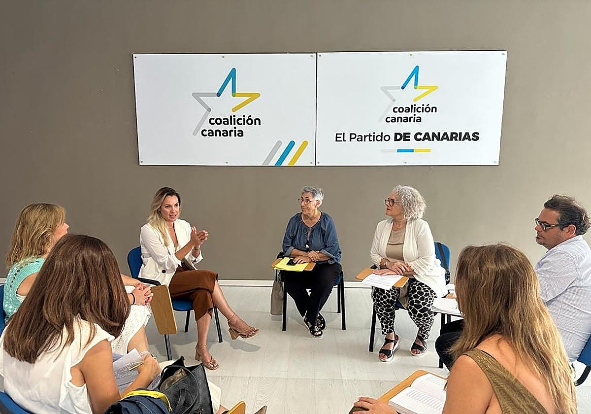 María Fernández, en la reunión mantenida con representantes de los abogados y los procuradores afectados.