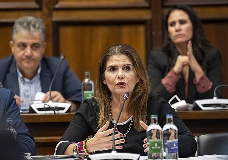 Inés Miranda es consejera de Política Territorial y Paisaje del Cabildo de Gran Canaria.