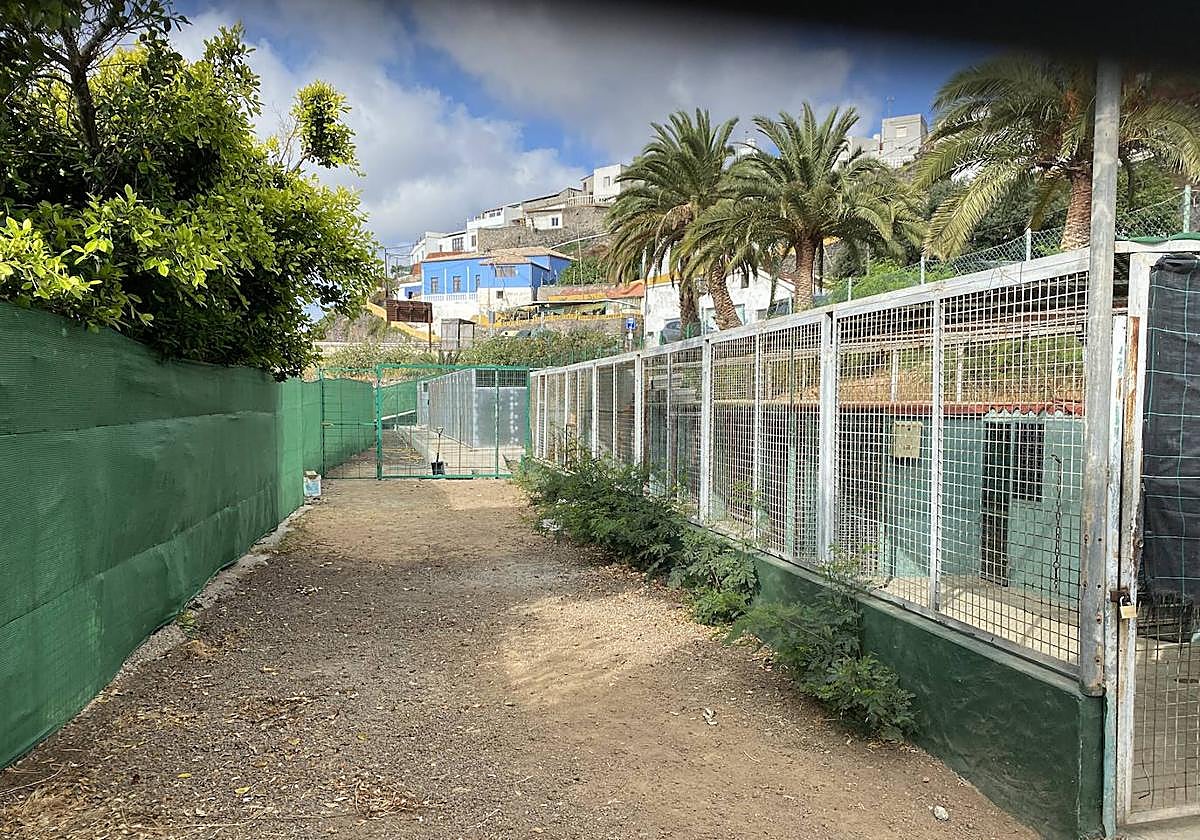Actuales instalaciones del albergue de animales de Telde.
