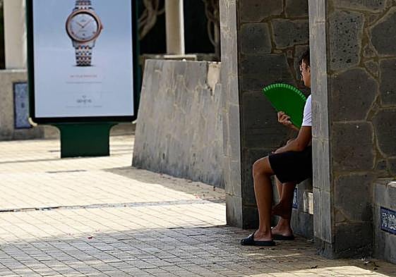 El tiempo reinante ha sacado los abanicos del armario y elevado el valor de la sombra.