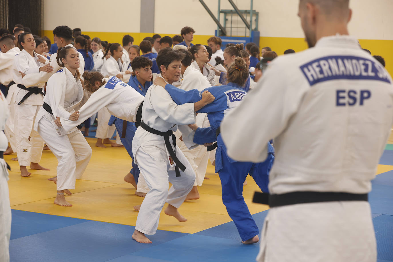 Imagen secundaria 2 - Arranca con éxito el segundo Stage de Judo del Club Akari