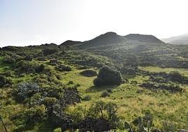 Vista de un paisaje en Rosiana.