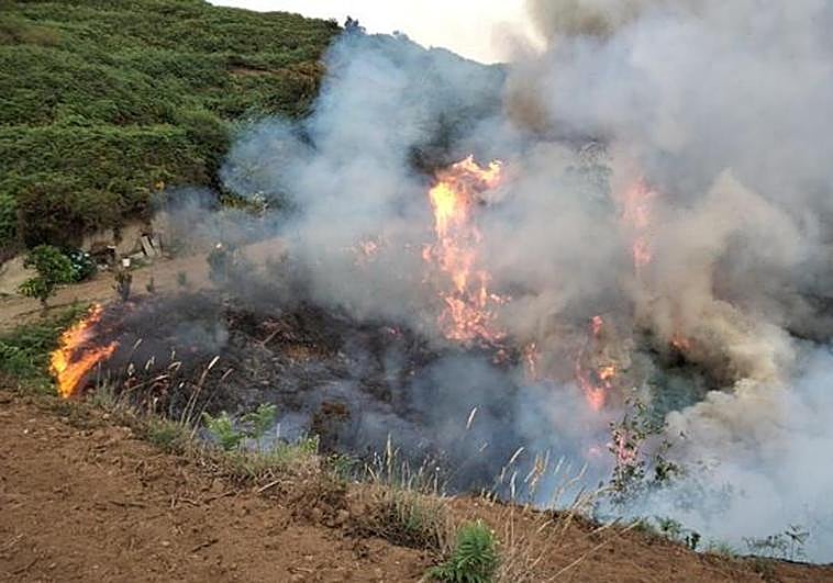 Estabilizado el conato de incendio en Los Realejos