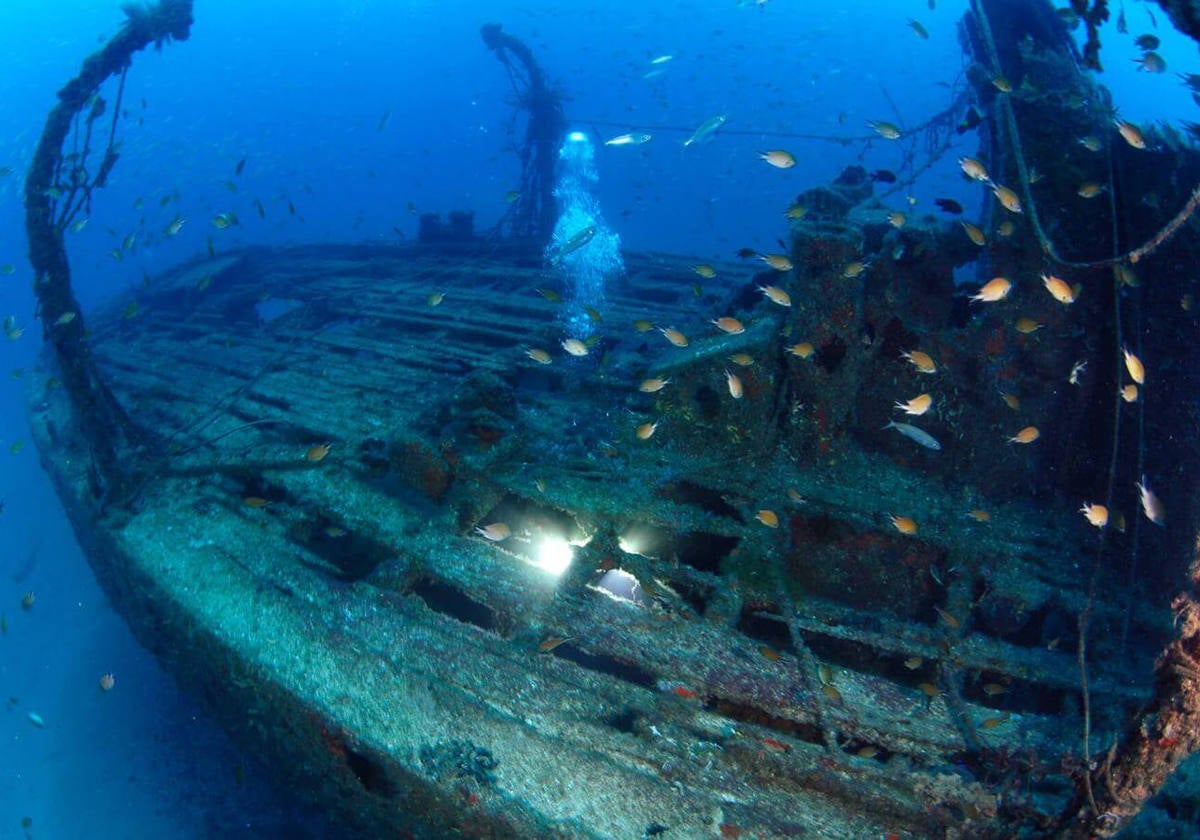 Inmersión con nítrox en pecio de Gran Canaria.- El pecio del pequeño barco de cabotaje 'Plasencia', en el sudeste de Gran Canaria, se ha convertido en una inmersión de referencia para los buceadores que desean salir del circuito de pecios más asequibles de la isla. Por su profundidad, a 35 metros de la superficie, y las habituales corrientes de la zona, un descenso a descubrir la vida marina que rodea al 'Plasencia' debe planearse en detalle. Si es posible, se debe recurrir al nítrox para reducir los tiempos de descompresión y extender la exploración del fondo.