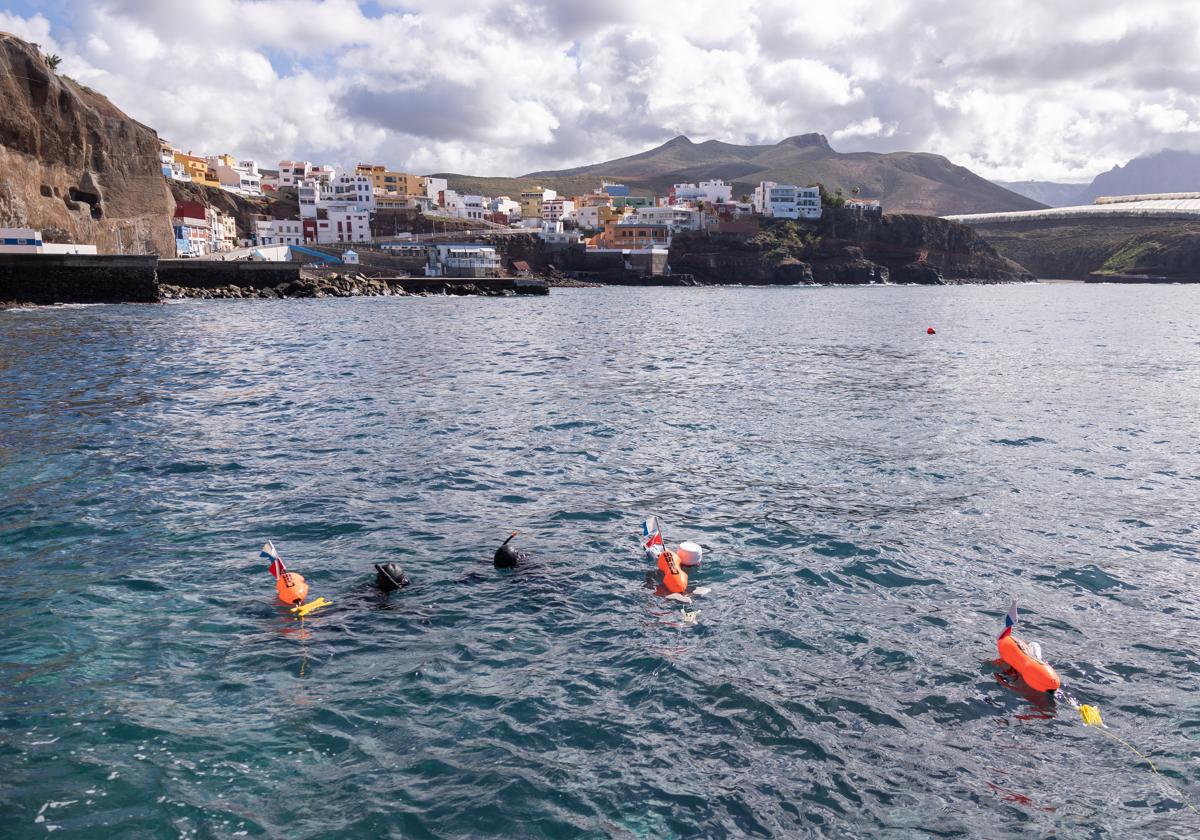 Un Aula del Mar para conocer Sardina del Norte