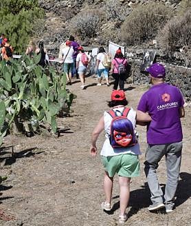 Imagen secundaria 2 - ¿Son alubias o lentejas? No, es cochinilla, el Oro Rojo de Canarias