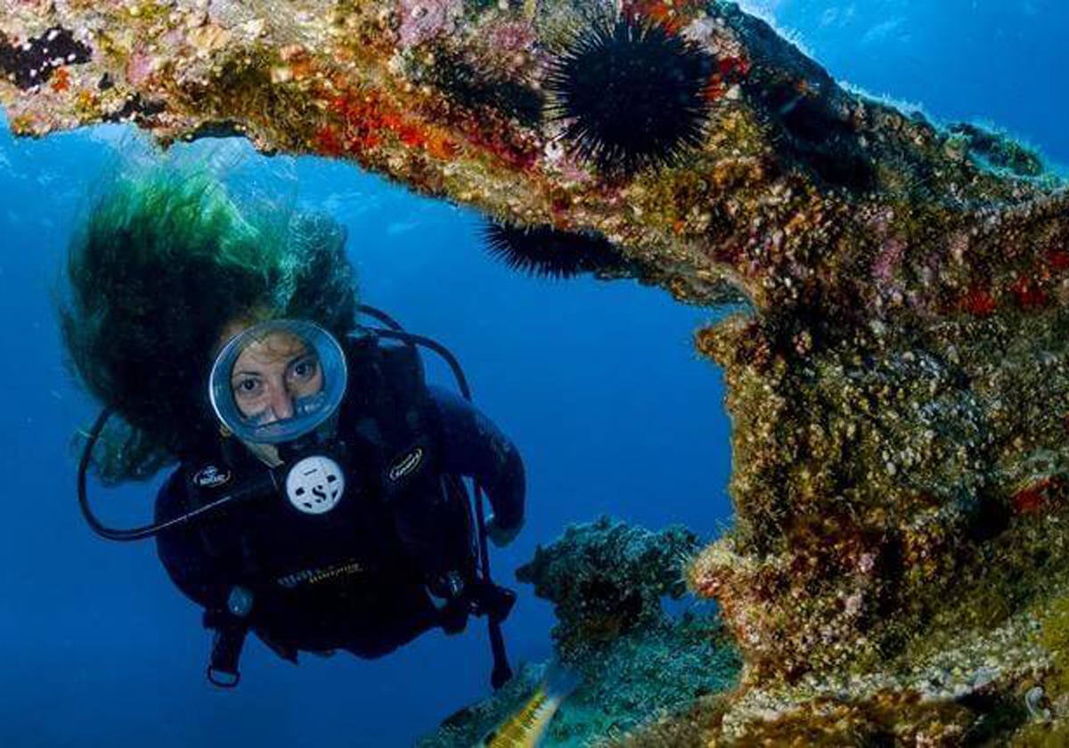 Buceo en arrecifes volcánicos en el sur de Tenerife.- Montaña Amarilla es un bella colina costera formada por ceniza volcánica de color amarillo y esculpida por la erosión. Su belleza continúa bajo la superficie del mar que la rodea, con un paisaje submarino lunar de arrecifes volcánicos y un gran pitón rocoso con arcos y cuevas. Situado en el sur de la isla de Tenerife, cerca de la población turística y puerto deportivo de Las Galletas, este punto de buceo permite deleitar la vista en todas las direcciones.