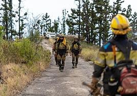 El incendio de La Palma queda estabilizado con 2.900 hectáreas afectadas