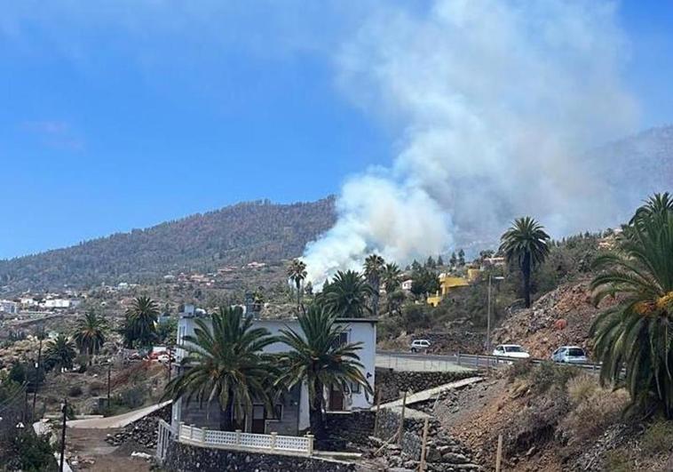 Controlado el conato de incendio forestal en La Palma