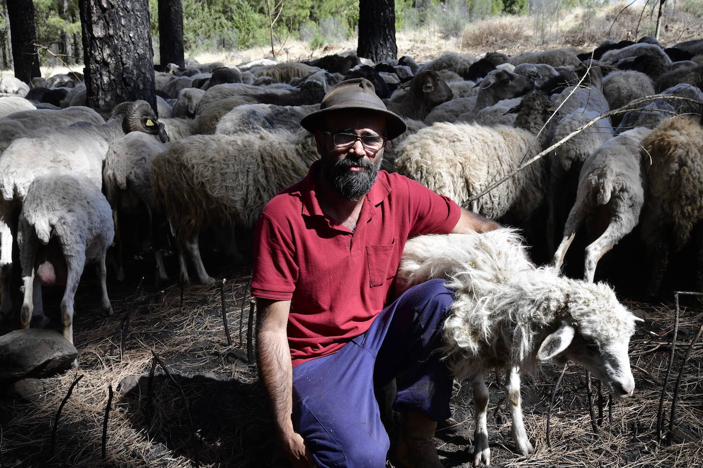 Ruymán Mena posa junto a su ganado en la zona del Cortijo de Huertas.