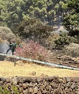 Imagen secundaria 2 - Una imprudencia con una desbrozadora causó el incendio de Gran Canaria