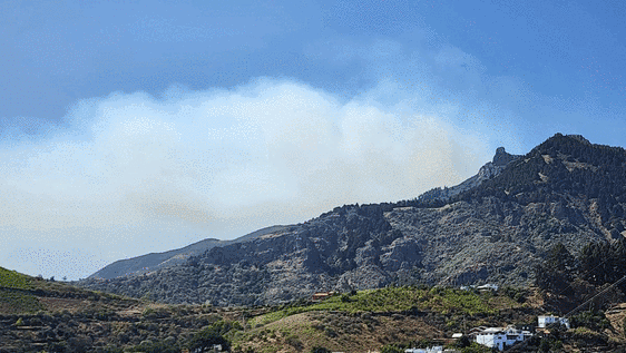 El incendio comenzó en el cortijo de Huertas, en Tejeda, y subió rápidamente al Pico de Las Nieves.