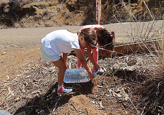 Dos niños se coordinan para regar uno de los árboles.