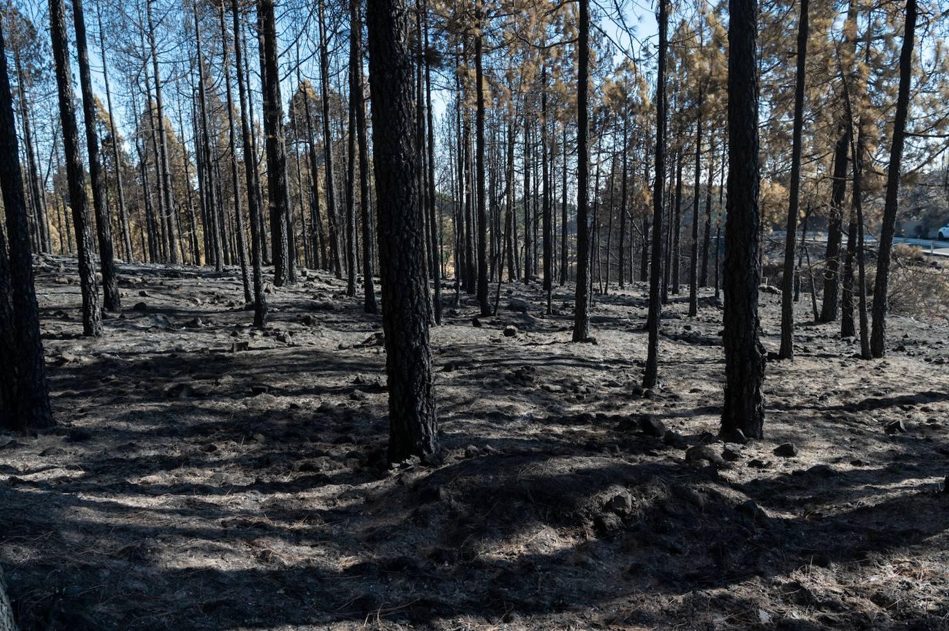 Así quedó la Cumbre tras el incendio