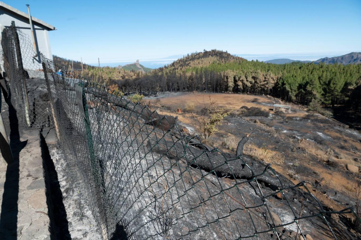 Así quedó la Cumbre tras el incendio