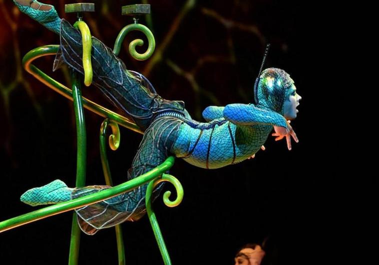 CANARIAS7 sortea cinco entradas para dos personas al OVO de Cirque du Soleil