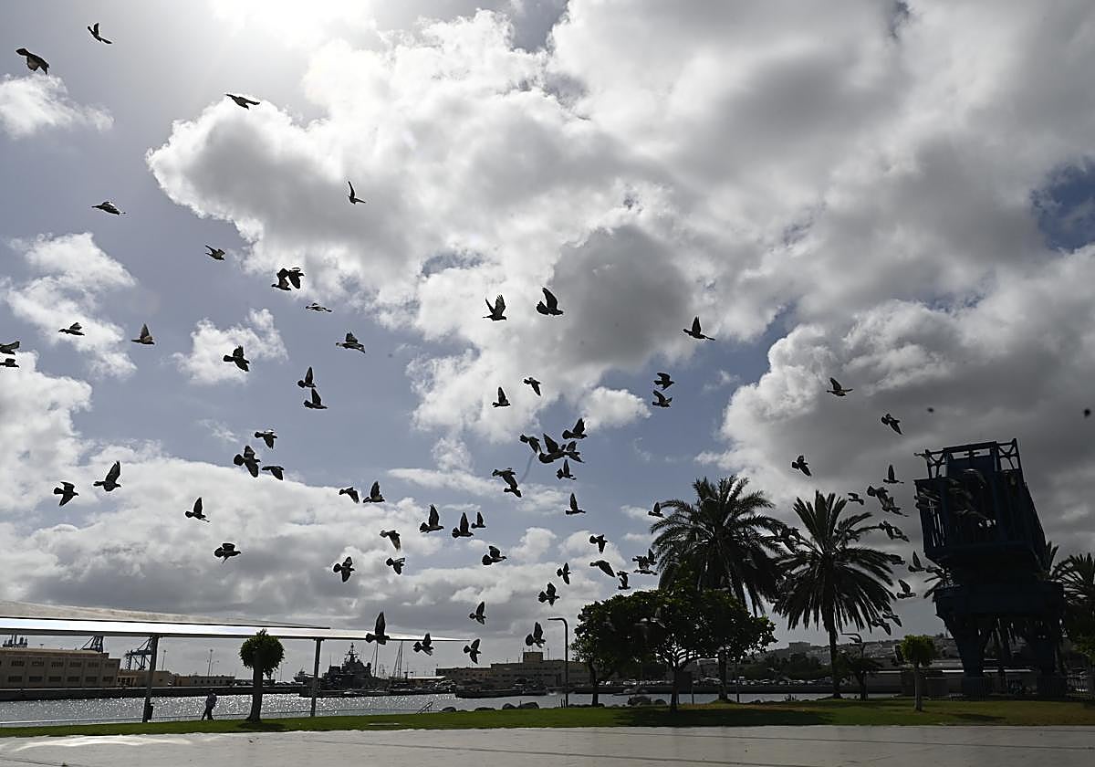 La nubosidad predominará en la franja norte de las islas al inicio de la jornada matinal.