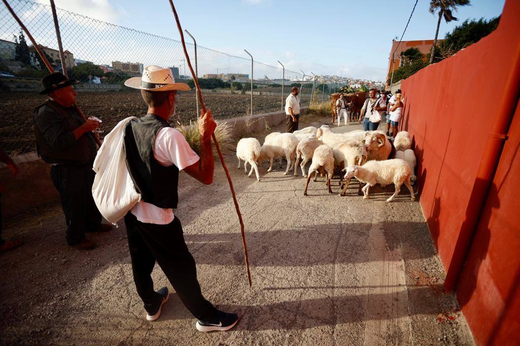 Ofrenda, bailes y carretas en la tradicional romería de San Lorenzo