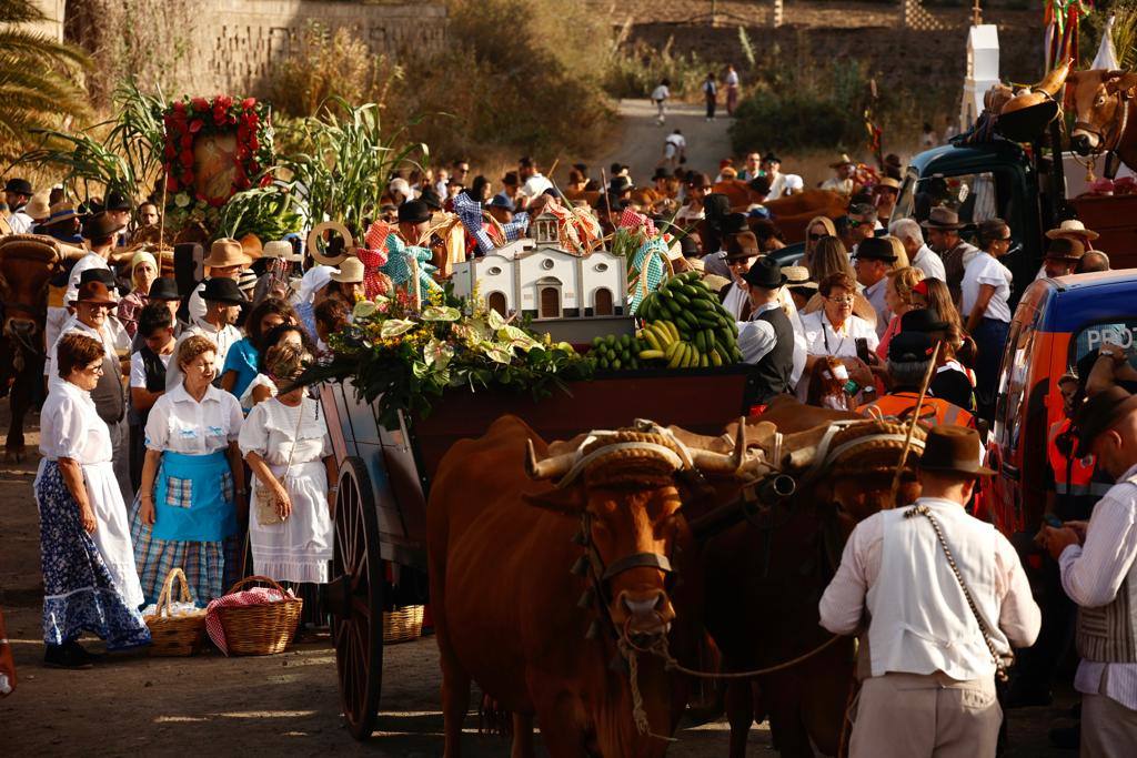 Ofrenda, bailes y carretas en la tradicional romería de San Lorenzo