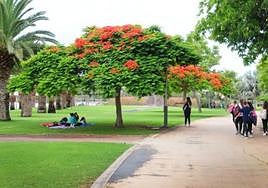 Foto de archivo del Parque del Sur.