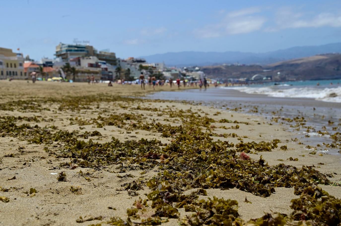 Segundo día de bandera amarilla en Las Canteras por las microalgas