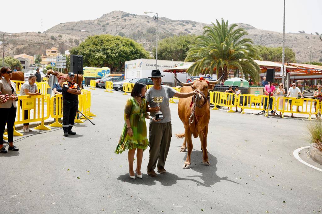 La procesión de San Lorenzo, en imágenes