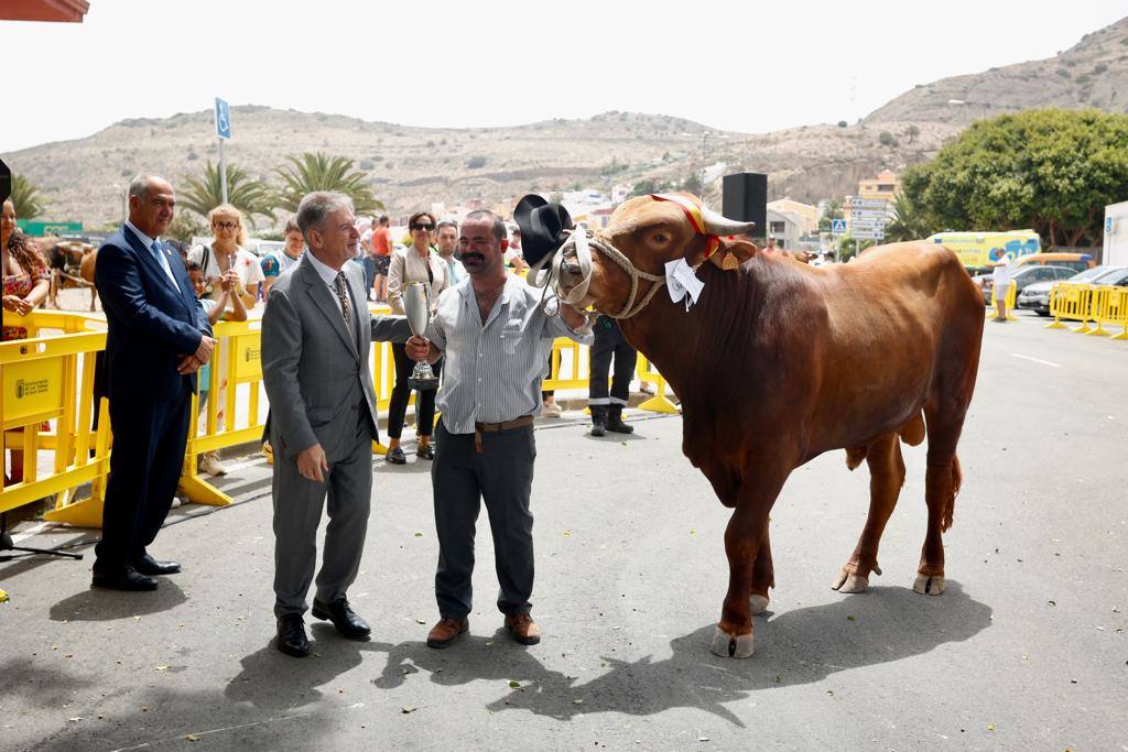La procesión de San Lorenzo, en imágenes