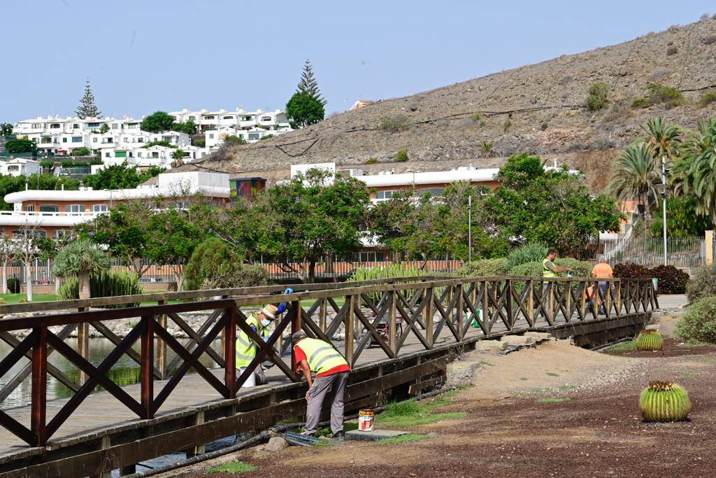 Zafarrancho en el Parque del Sur