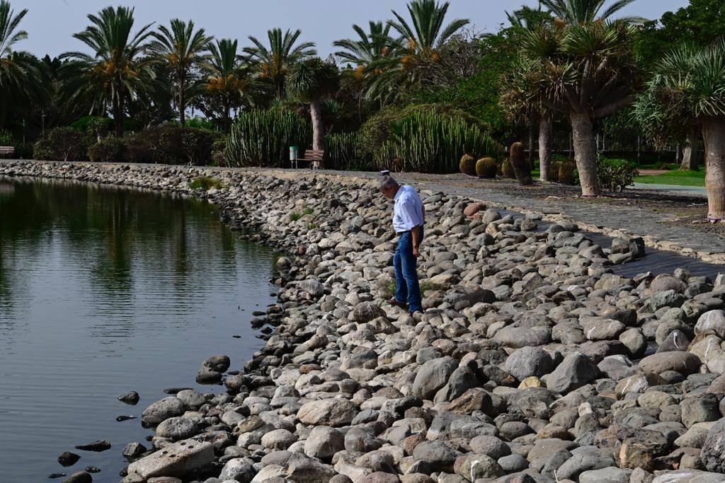 Zafarrancho en el Parque del Sur