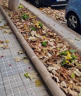 Imagen secundaria 2 - Tamaraceite y Almatriche Bajo demandan más limpieza.